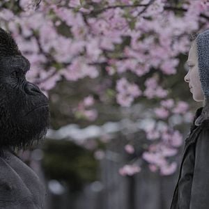 Fotoğraf Maymunlar Cehennemi: Savaş