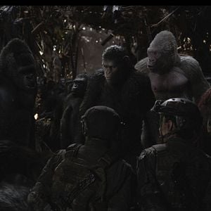 Fotoğraf Maymunlar Cehennemi: Savaş