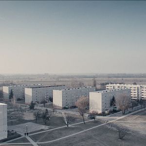 Fotoğraf Aşk Birleşik Devletleri