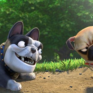 Fotoğraf Fındık İşi 2