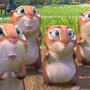 Fotoğraf Fındık İşi 2