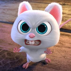 Fotoğraf Fındık İşi 2