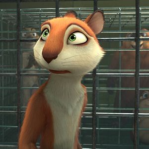 Fotoğraf Fındık İşi 2