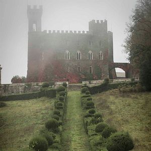 Fotoğraf Voice From the Stone