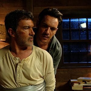 Fotoğraf Black Butterfly