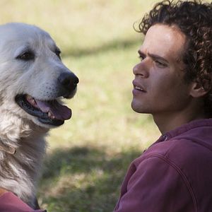 Fotoğraf Brando Pacitto