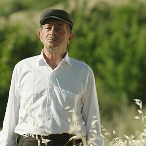 Fotoğraf Kiraz Mevsimi