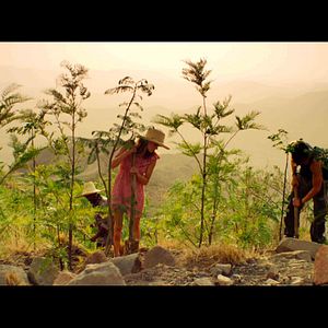 Fotoğraf Hayallerinin Peşinde