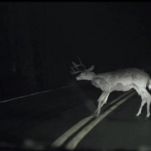 Fotoğraf Kapıdaki Sır