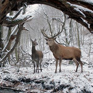 Fotoğraf Beden ve Ruh