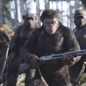 Fotoğraf Maymunlar Cehennemi: Savaş