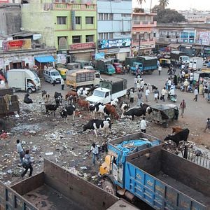 Fotoğraf Daughters of Destiny