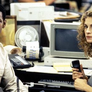 Fotoğraf Pelikan Dosyası