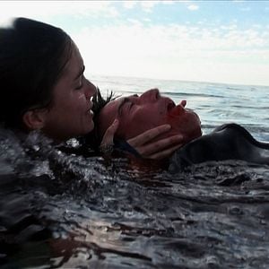 Fotoğraf Açık Deniz: Kafes Dalışı