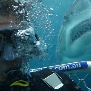 Fotoğraf Açık Deniz: Kafes Dalışı