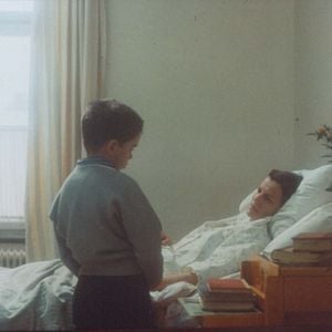 Fotoğraf Bir Köpek Olarak Hayatım