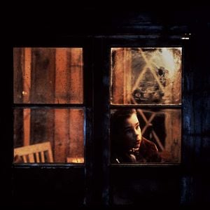 Fotoğraf Bir Köpek Olarak Hayatım