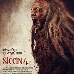 Fotoğraf Siccin 4