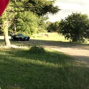 Fotoğraf Nicholas Hamilton