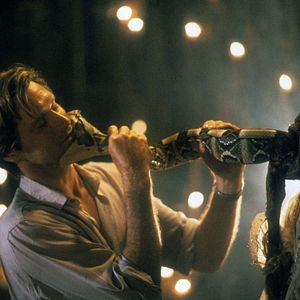 Fotoğraf The Serpent and the Rainbow