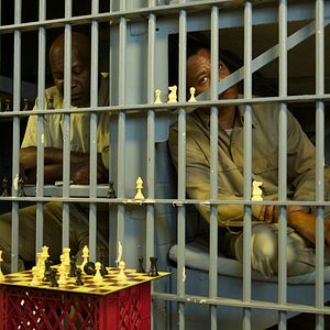 Fotoğraf Life of a King