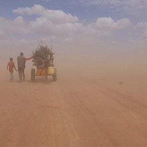 Fotoğraf İnsan Seli