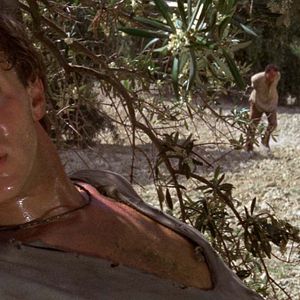 Fotoğraf Robert Shaw