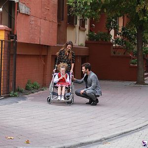 Fotoğraf Ateşböceği