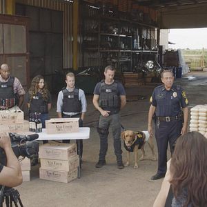 Fotoğraf Alex O'Loughlin