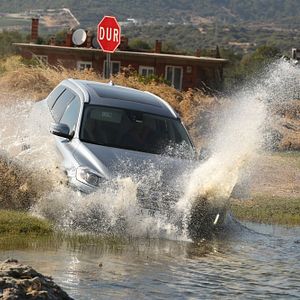 Fotoğraf Yol Arkadaşım