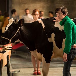 Fotoğraf Théo Fernandez