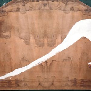 Fotoğraf Julian Schnabel