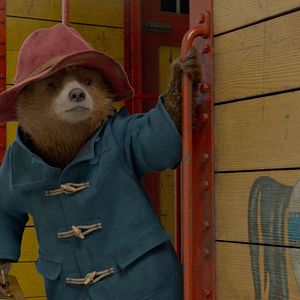 Fotoğraf Ayı Paddington 2