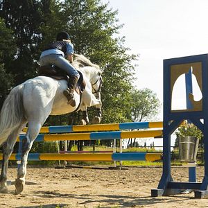 Fotoğraf Jule Hermann