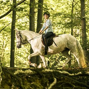 Fotoğraf Jule Hermann