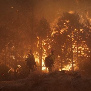 Fotoğraf Korkusuzlar