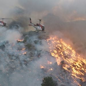 Fotoğraf Korkusuzlar