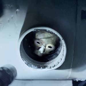 Fotoğraf Banshee Chapter