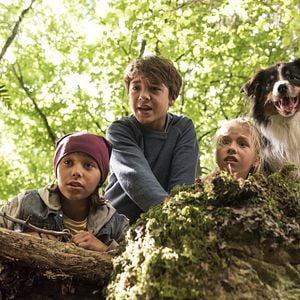 Fotoğraf Marinus Hohmann