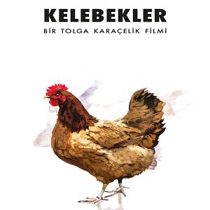 Fotoğraf Kelebekler