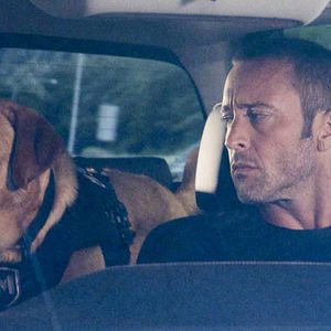 Fotoğraf Alex O'Loughlin