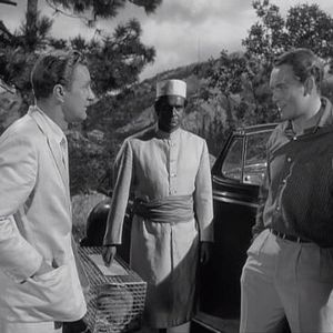 Fotoğraf Danger Man