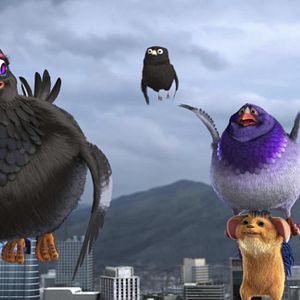 Fotoğraf Bobi: Dikenlerin Gücü Adına!