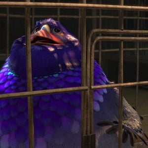 Fotoğraf Bobi: Dikenlerin Gücü Adına!