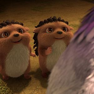 Fotoğraf Bobi: Dikenlerin Gücü Adına!