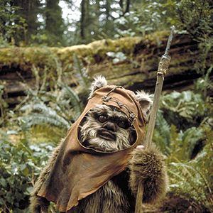 Fotoğraf Richard Marquand