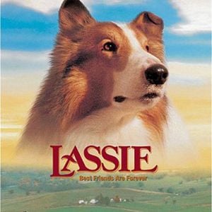 Fotoğraf Lassie