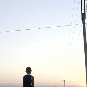 Fotoğraf Uzakta Havlayan Köpekler