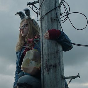 Fotoğraf Dev Avcısı