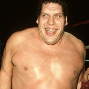 Fotoğraf André The Giant